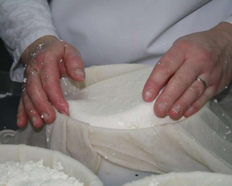 GAEC_Caps De la ferme aux fromages