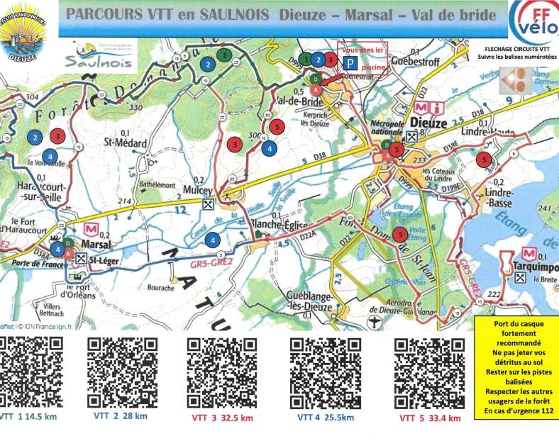 Cyclo randonneurs Dieuze Circuits VTT en forêt de Bride