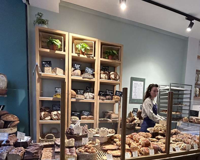 Madame Pain Madame pain