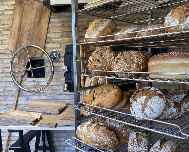 Madame Pain Madame pain