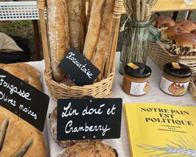 Madame Pain Madame pain