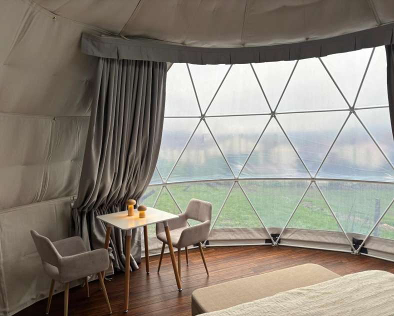 ©Fleur_de_lune Fleur de Lune-Bulle Ortance