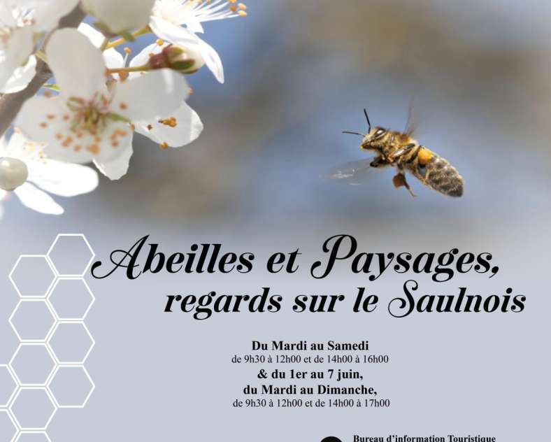 Office de tourisme du Pays du Saulnois Exposition - Abeilles et paysages, regards sur le Saulnois