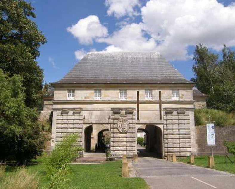 D. Manzi A la découverte de l'or blanc