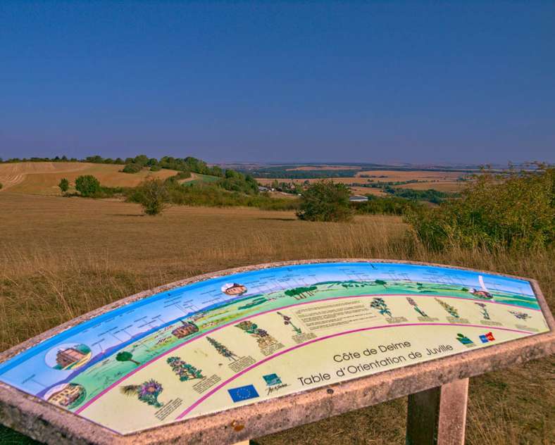 Emmanuel Stourm 2020
Licence Open Data Côte de Delme circuit