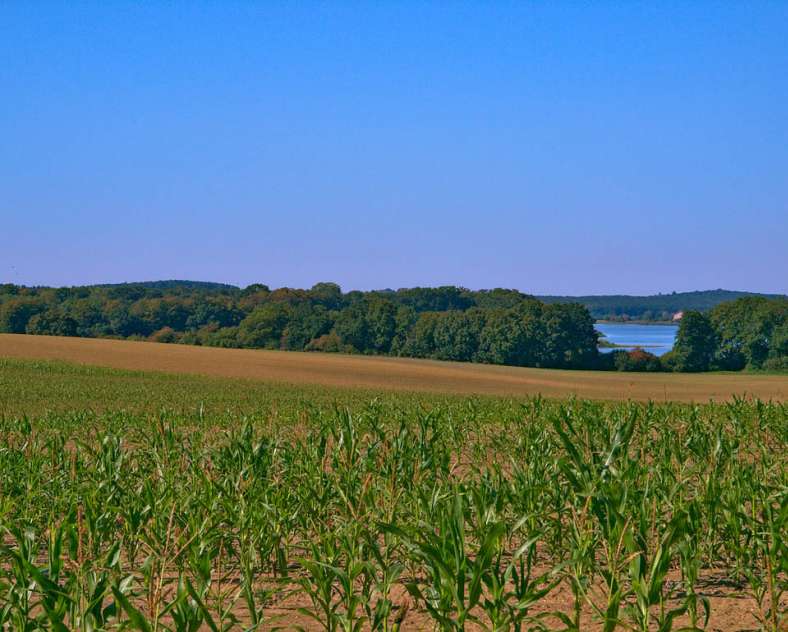 Emmanuel Stourm 2020
Licence Open Data Ponds circuit - Rhodes - Lindre - Canal