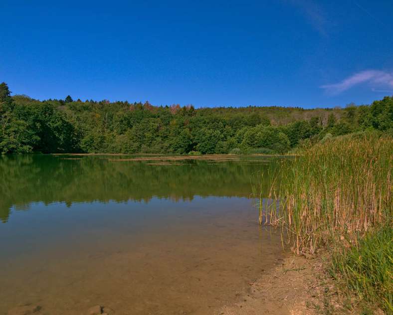 Emmanuel Stourm 2020
Licence Open Data The way to 60