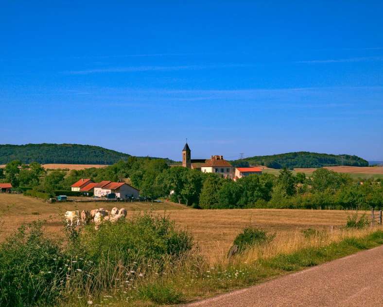 Emmanuel Stourm 2020
Licence Open Data The schoolchildren's path