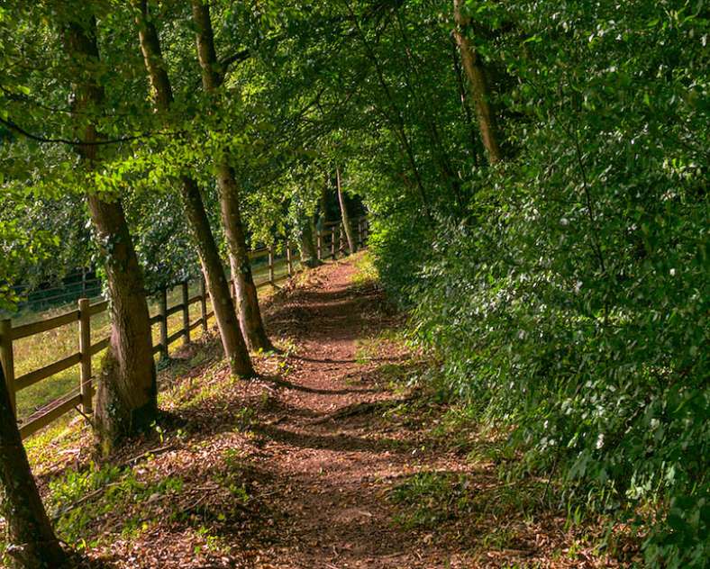 Emmanuel Stourm
Licence Opendata Heritage trail