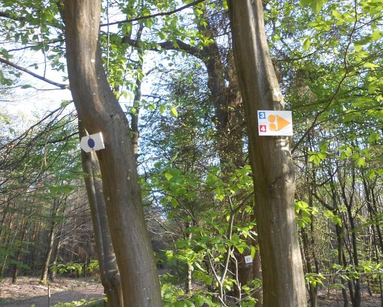 OT Saint-Avold Coeur de Moselle Steinberg - Jeanne d'Arc