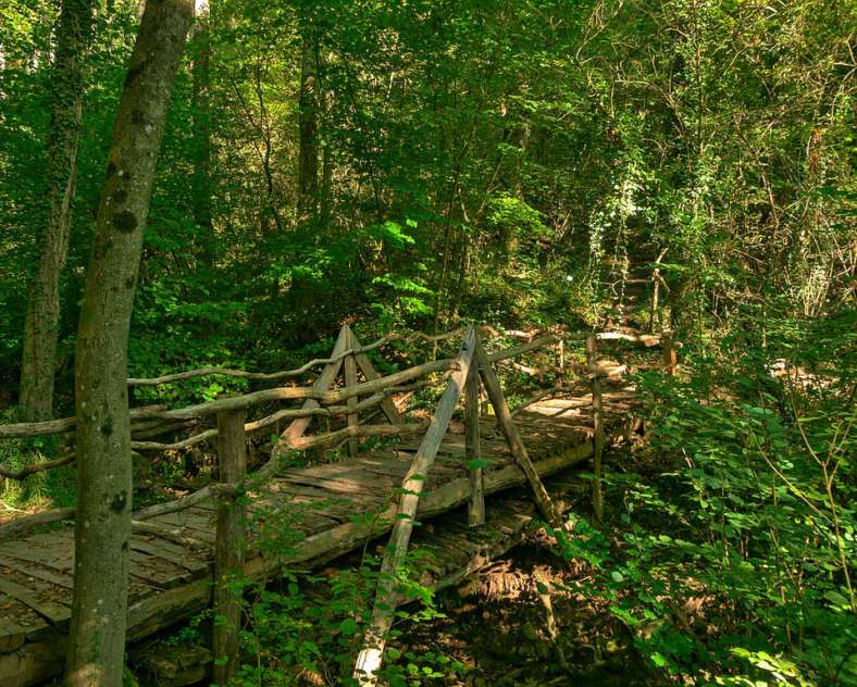 Emmanuel Stourm 2020
Licence Open Data Montenach nature reserve path