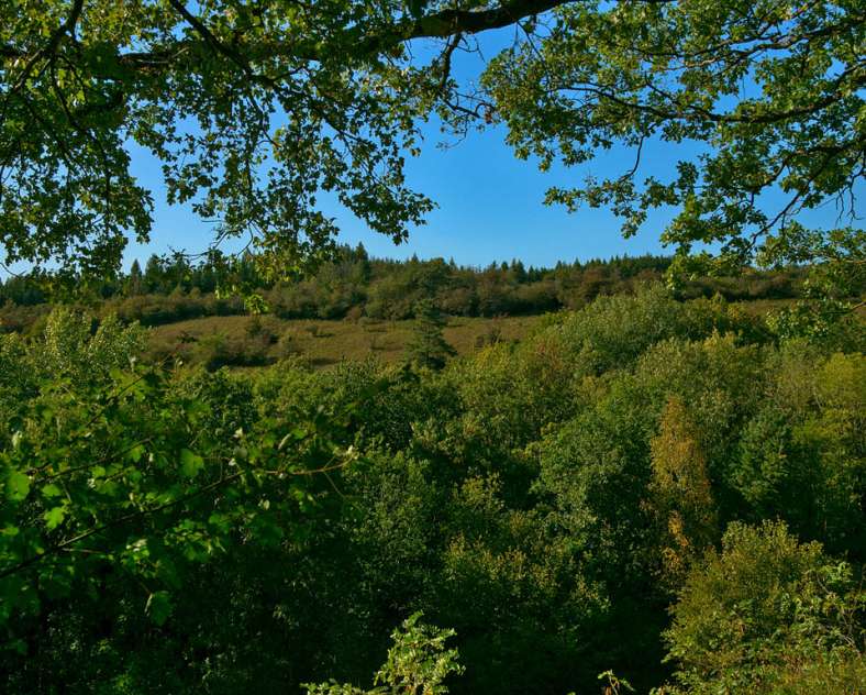 Emmanuel Stourm 2020
Licence Open Data Montenach nature reserve path