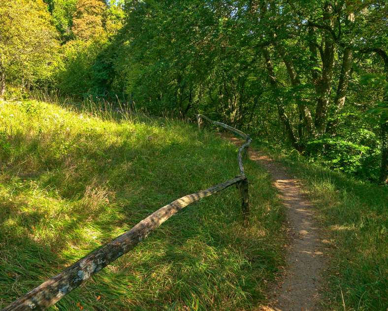 Emmanuel Stourm 2020
Licence Open Data Montenach nature reserve path