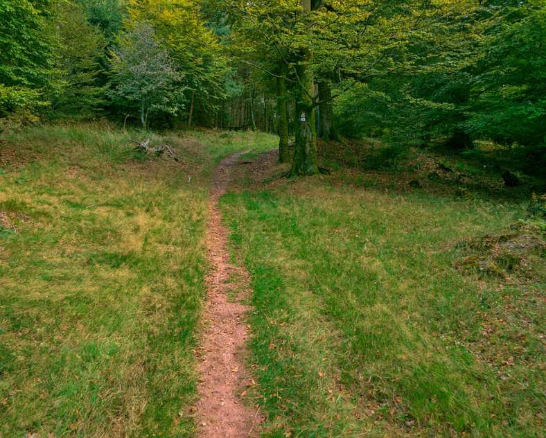 Emmanuel Stourm 2020
Licence Open Data Tour de Walscheid