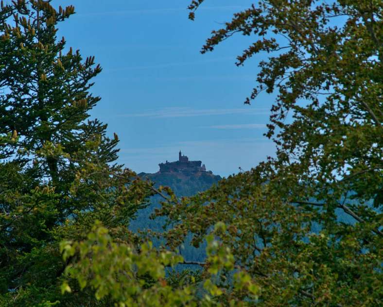Emmanuel Stourm 2020
Licence Open Data Gallo-roman cemetery tour