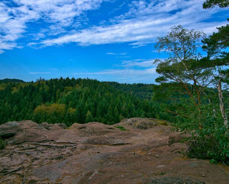 Emmanuel Stourm 2020
Licence Open Data Gallo-roman cemetery tour
