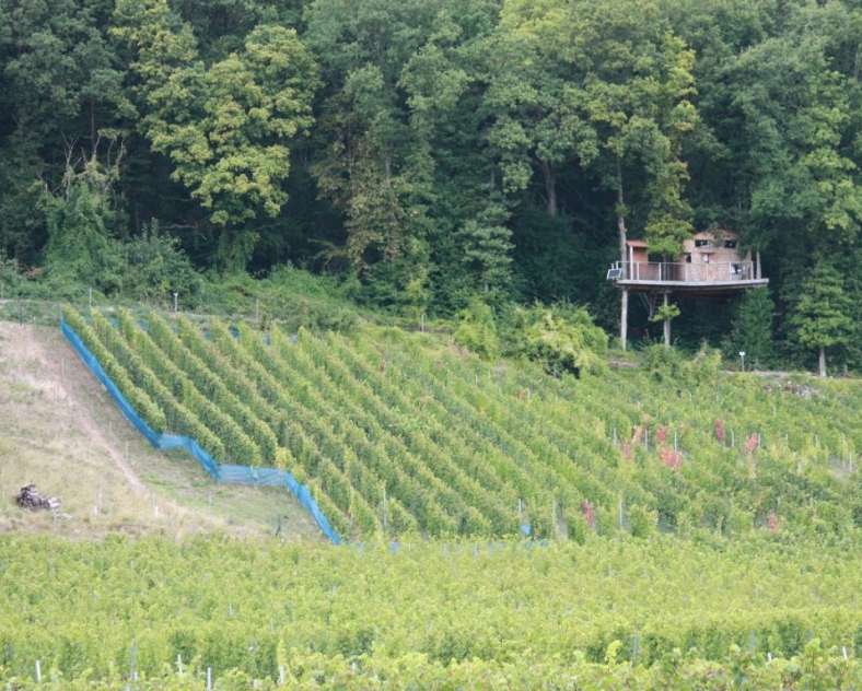 Emmanuel Stourm 2020
Licence Open Data Moselle Wine Route - Pays Messin