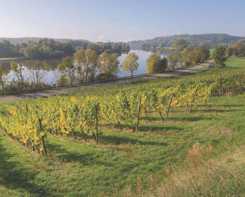 Domaine Sontag Moselle Wine Route - Pays Messin