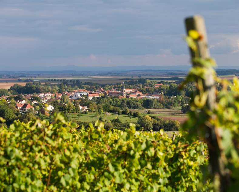 Office du Tourisme du Saulnois Moselle Wine Route - Pays Messin