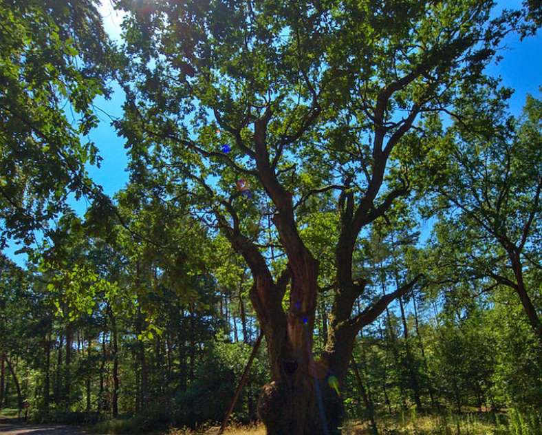 Emmanuel Stourm 2020 GR5G from Metz to Saarbrücken