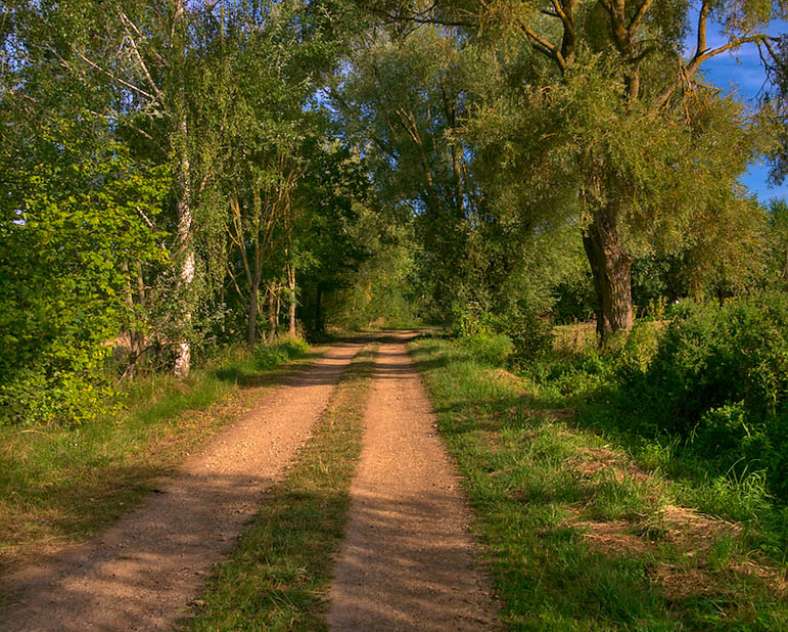 Emmanuel Stourm 2020 GR501 from Rombas to Plappeville