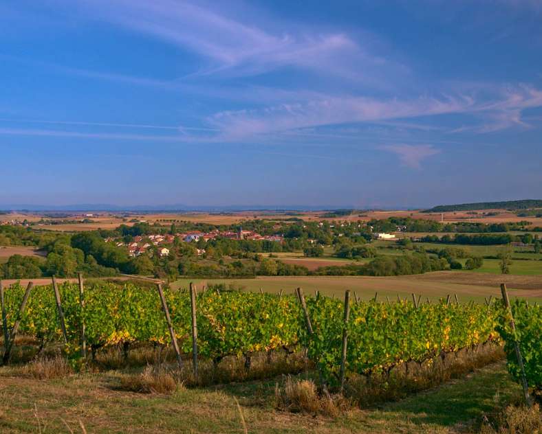 Emmanuel Stourm
Licence Opendata GR5 from Novéant-sur-Moselle to Dieuze