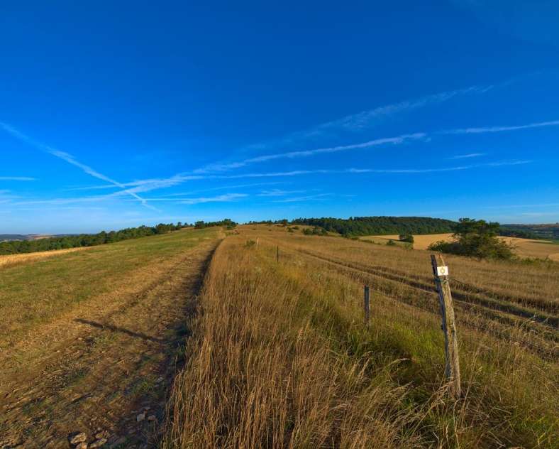 Emmanuel Stourm 2020
Licence Open Data The Arry coast