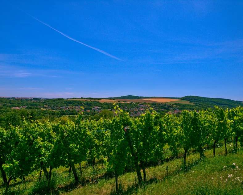 Emmanuel Stourm 2020
Licence Open Data The Moselle Valley