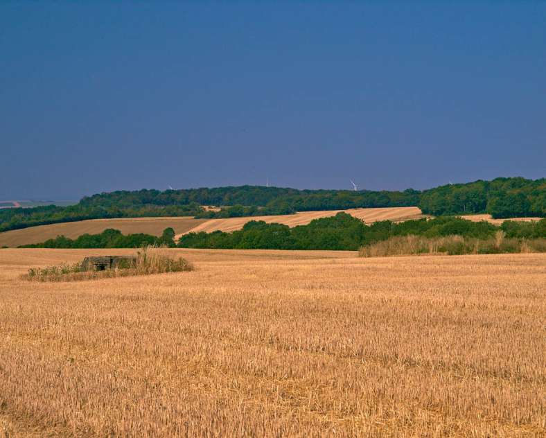 Emmanuel Stourm 2020
Licence Open Data Bambesch valley circuit
