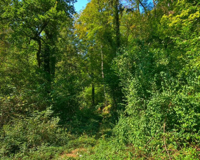 Emmanuel Stourm 2020
Licence Open Data Malbrouck circuit