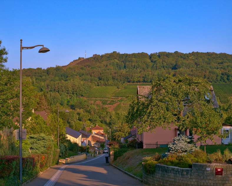 Emmanuel Stourm 2020
Licence Open Data Circuit des collines