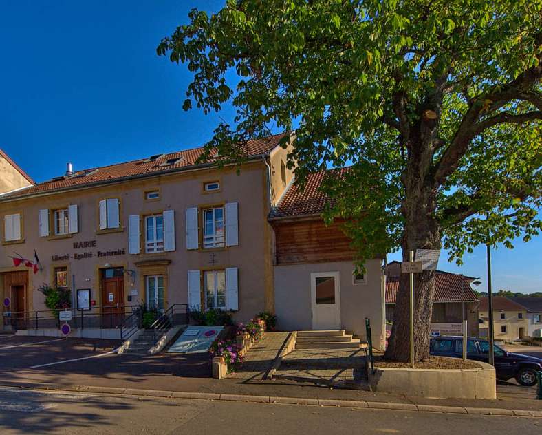 Emmanuel Stourm 2020
Licence Open Data Circuit de l'altenberg (closed)