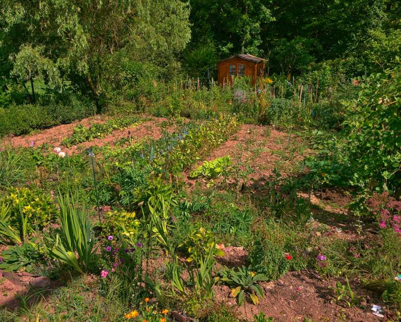 Emmanuel Stourm 2020
Licence Open Data Circuit de l'altenberg (closed)