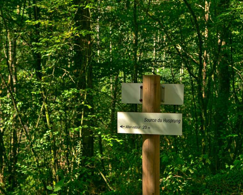 Emmanuel Stourm 2020
Licence Open Data Malbrouck mountainbike circuit