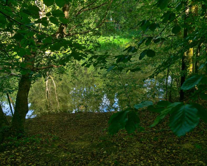 Emmanuel Stourm 2020
Licence Open Data Panorama circuit