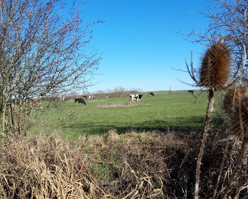 CHEMIN DES CALVAIRES