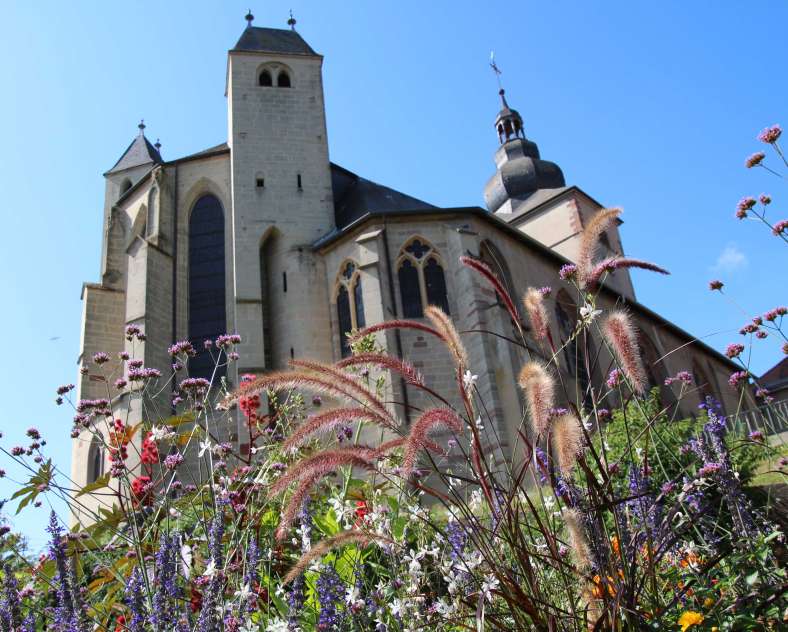 Schneider Stéphane  Abbey and chapels circuit