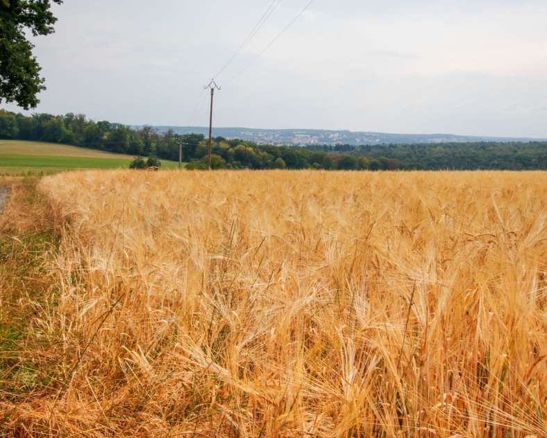 Cindy TURPIN - Sarreguemines Tourisme Landscapes of the Blies