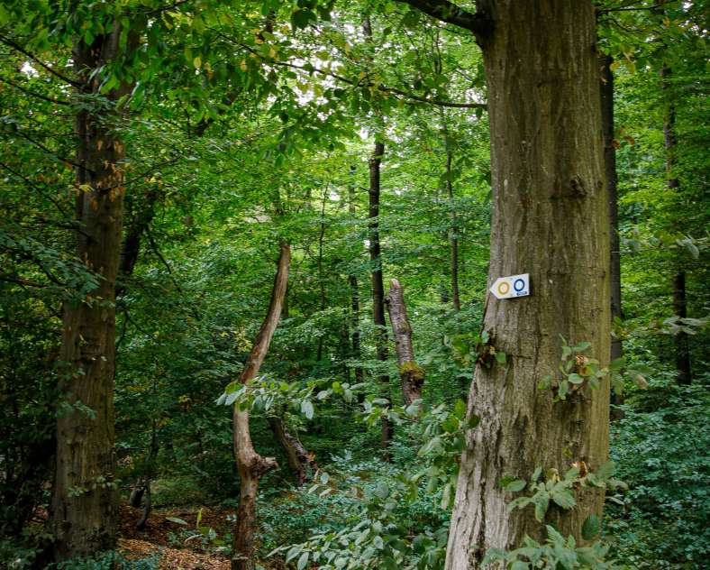 Cindy TURPIN - Sarreguemines Tourisme Landscapes of the Blies