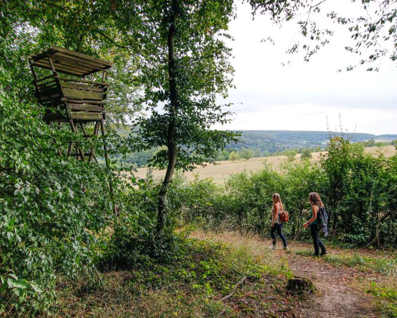 Cindy TURPIN - Sarreguemines Tourisme Landscapes of the Blies