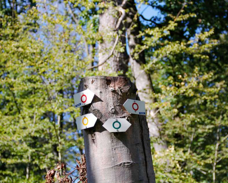 Cindy TURPIN - Sarreguemines Tourisme The Grosswald