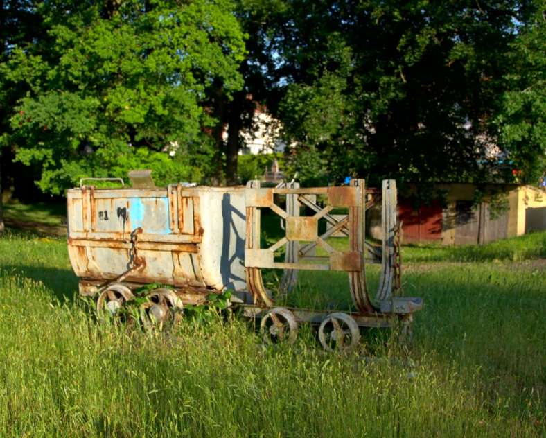 Emmanuel Stourm 2020
Licence Open Data The Houve forest