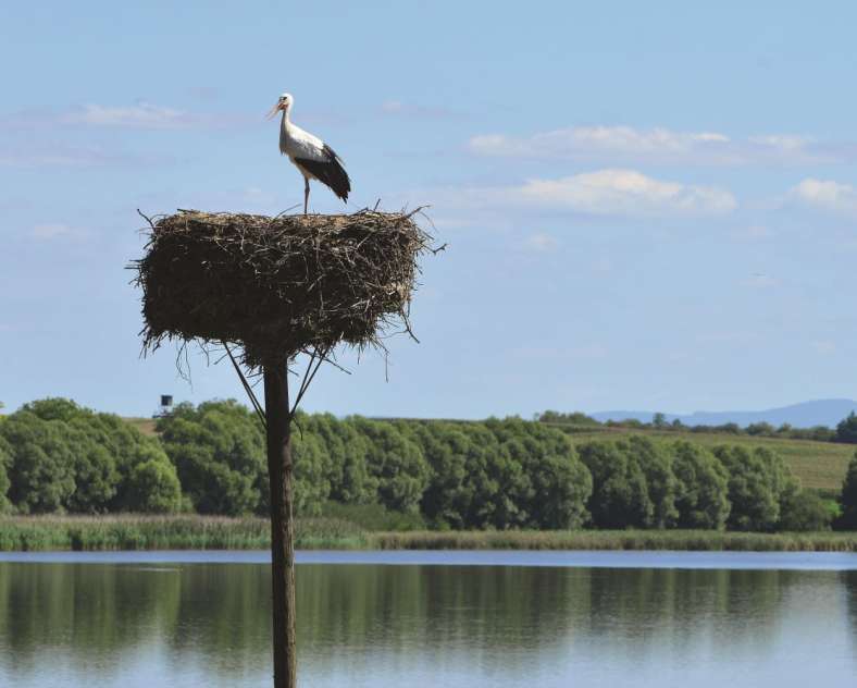 Florent Doncourt Salt and water hike