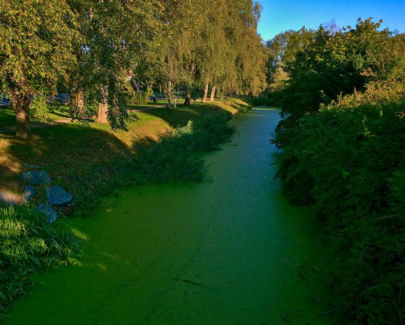 Emmanuel Stourm 2020
Licence Open Data Salt and water hike