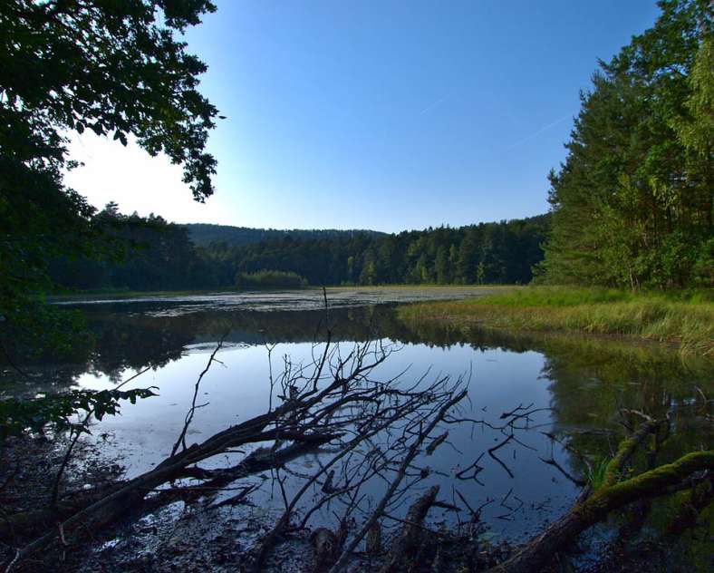 Emmanuel Stourm 2020
Licence Open Data Sandstone sentinels