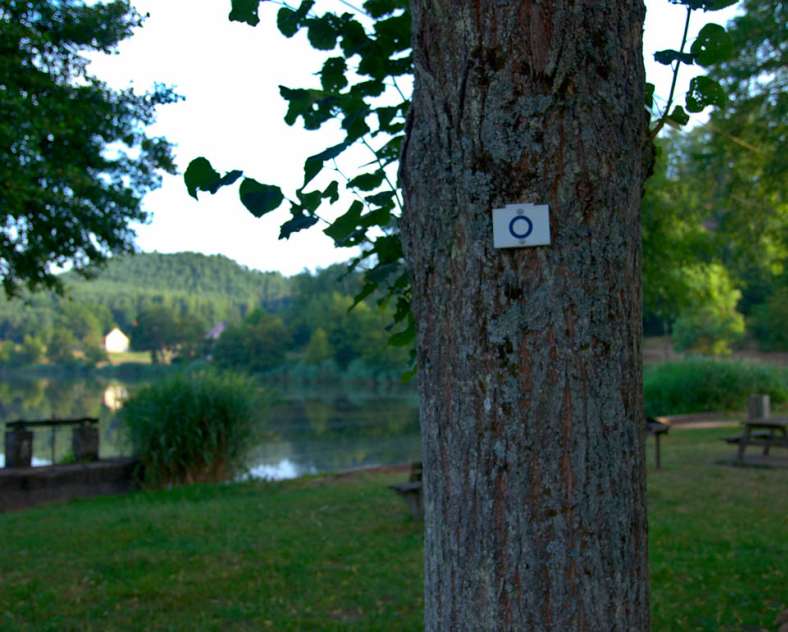 Emmanuel Stourm 2020
Licence Open Data Around Ramstein castle