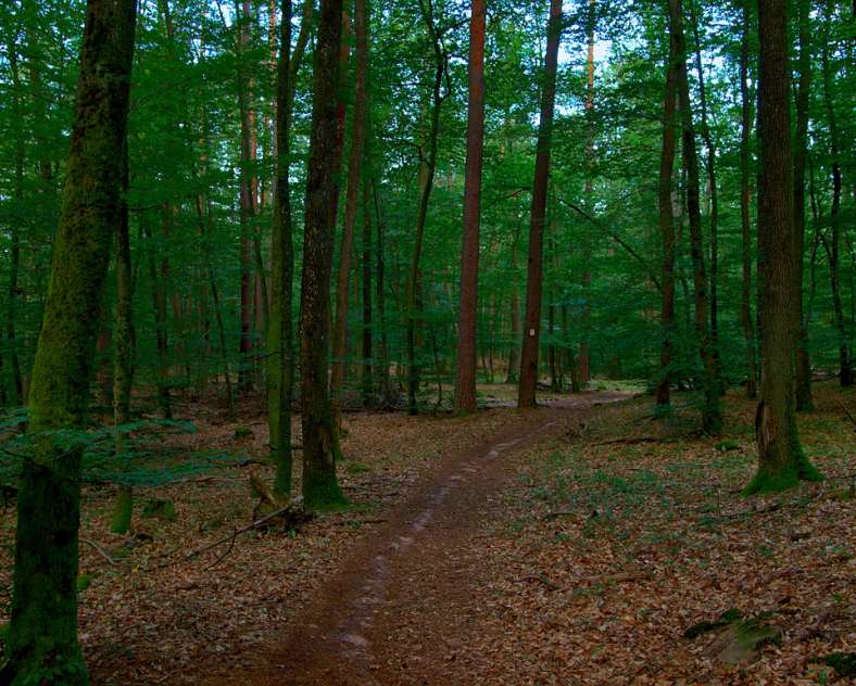 Emmanuel Stourm 2020
Licence Open Data  Châteaux loop on horseback