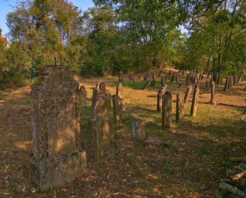 Emmanuel Stourm 2020
Licence Open Data Up and down the mountain