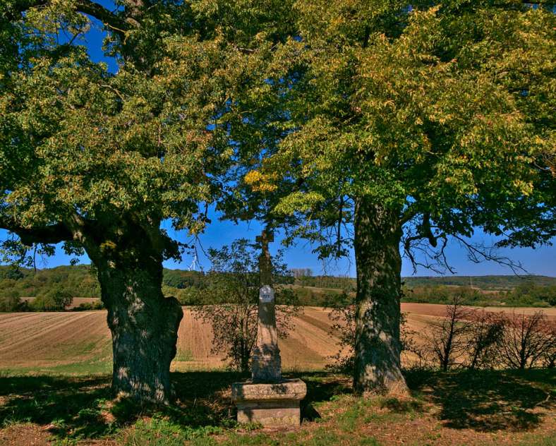 Emmanuel Stourm 2020
Licence Open Data The four winds