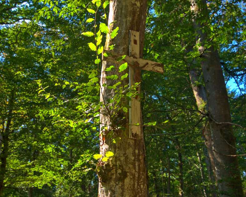 Emmanuel Stourm 2020
Licence Open Data Sainte-Anne loop